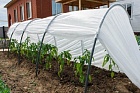 Теплицы и парники